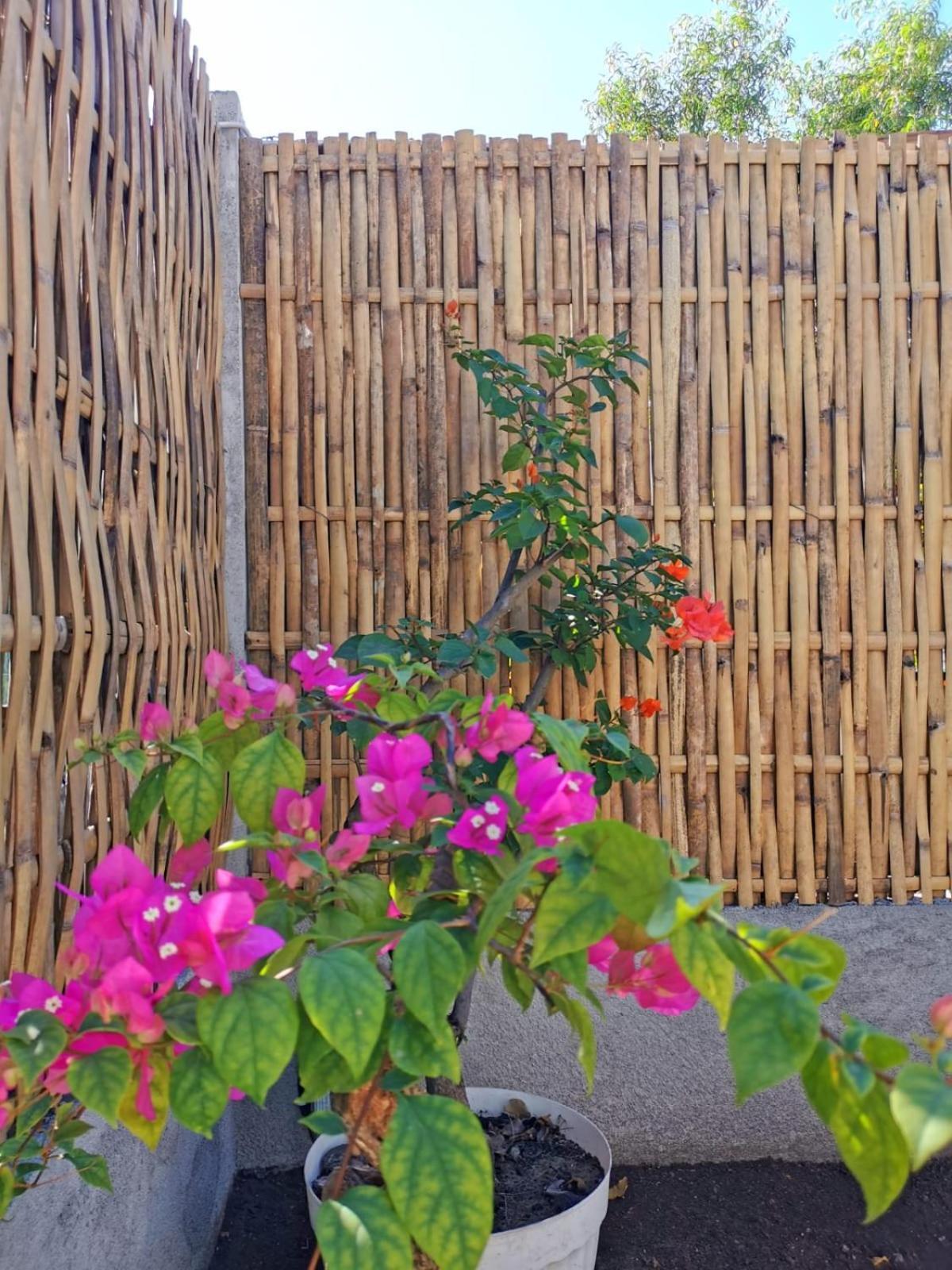 Villa Exotic House Gili Meno Exterior foto