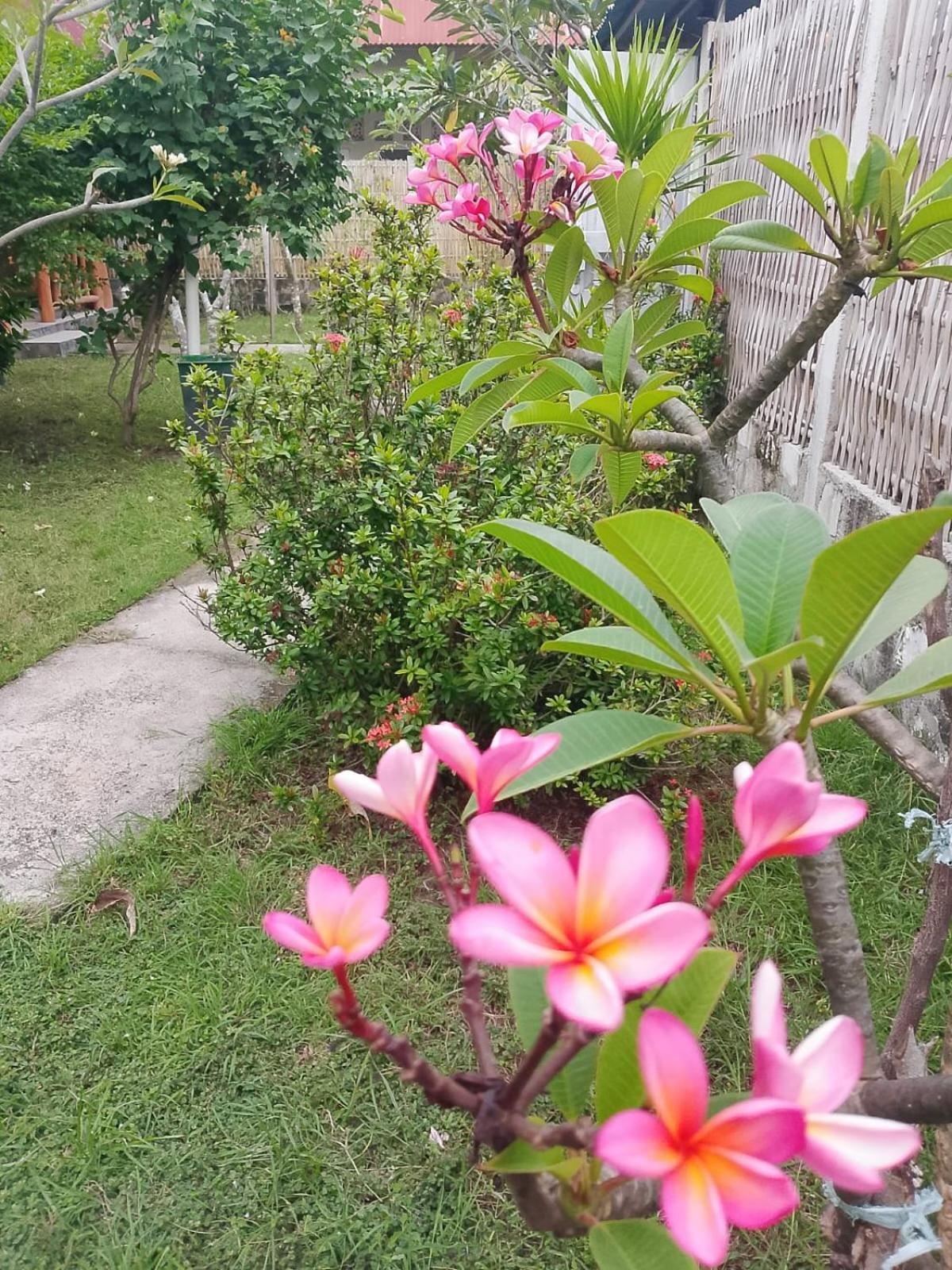 Villa Exotic House Gili Meno Zimmer foto
